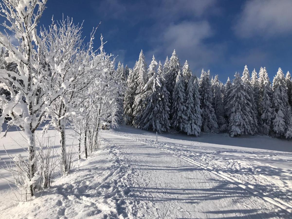 Hoehengasthaus Kolmenhof An Der Donauquelle Furtwangen im Schwarzwald Extérieur photo
