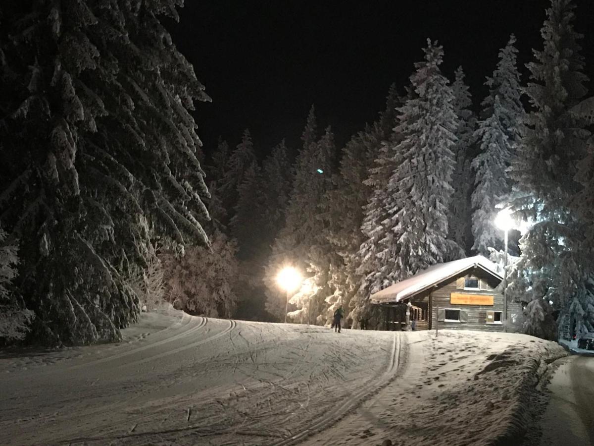 Hoehengasthaus Kolmenhof An Der Donauquelle Furtwangen im Schwarzwald Extérieur photo
