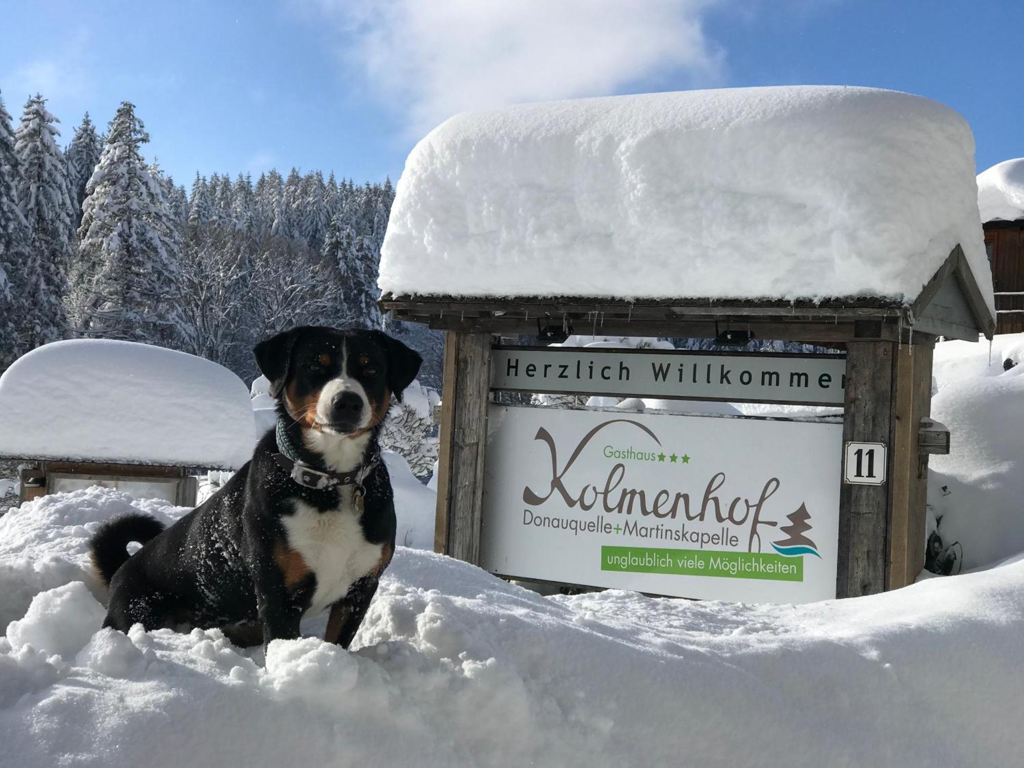 Hoehengasthaus Kolmenhof An Der Donauquelle Furtwangen im Schwarzwald Extérieur photo