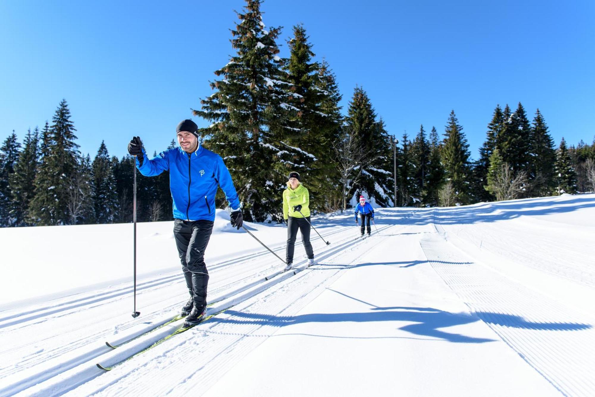 Hoehengasthaus Kolmenhof An Der Donauquelle Furtwangen im Schwarzwald Extérieur photo