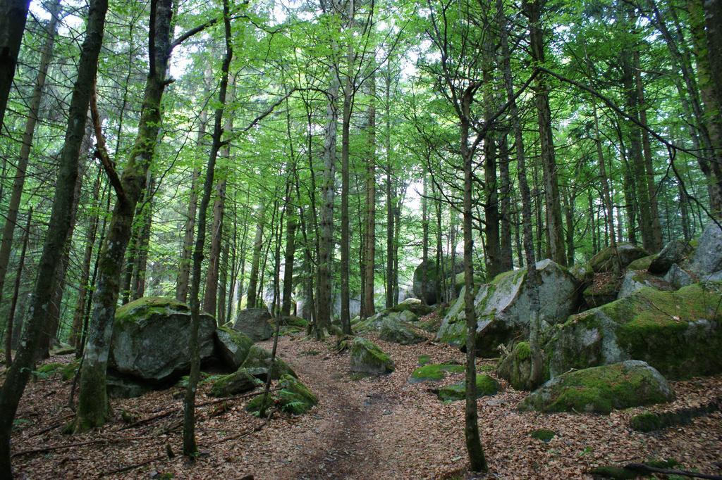 Hoehengasthaus Kolmenhof An Der Donauquelle Furtwangen im Schwarzwald Extérieur photo