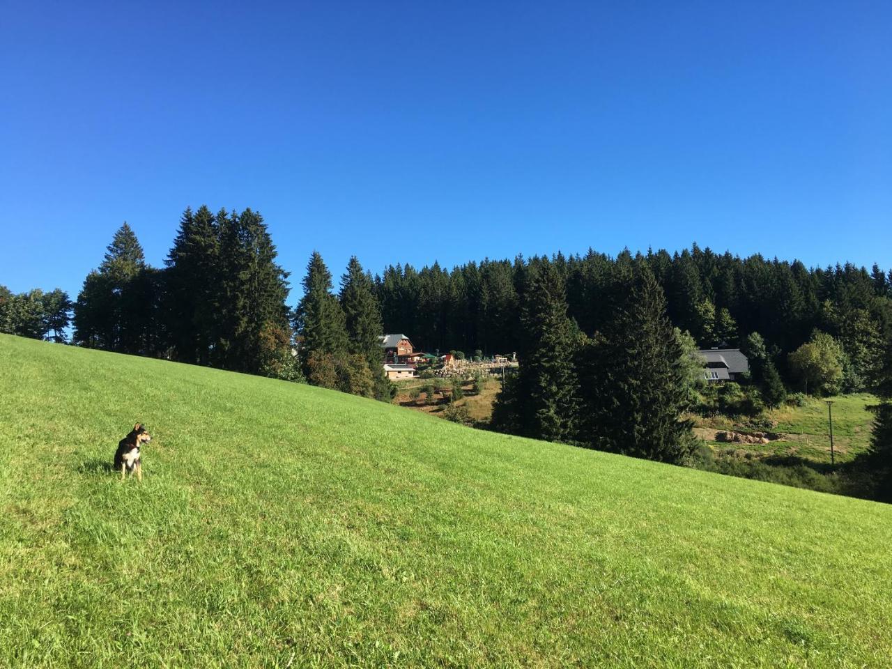 Hoehengasthaus Kolmenhof An Der Donauquelle Furtwangen im Schwarzwald Extérieur photo